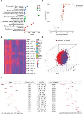 Construction of a serum diagnostic signature based on m5C-related miRNAs for cancer detection